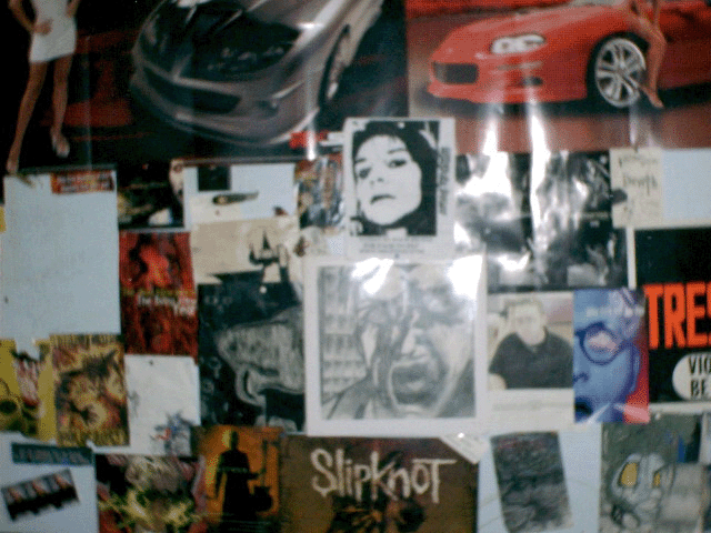 WALL IN MY ROOM